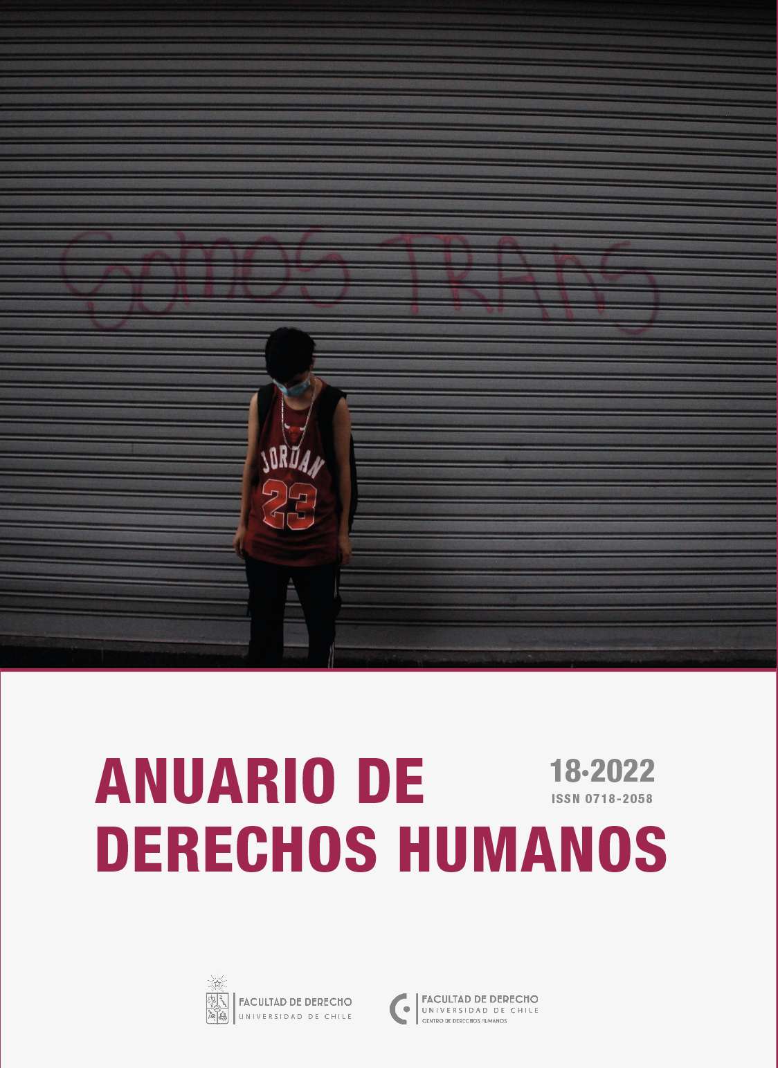 							Ver Vol. 18 Núm. 2 (2022): Anuario de Derechos Humanos
						